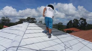 gutter cleaning gold coast