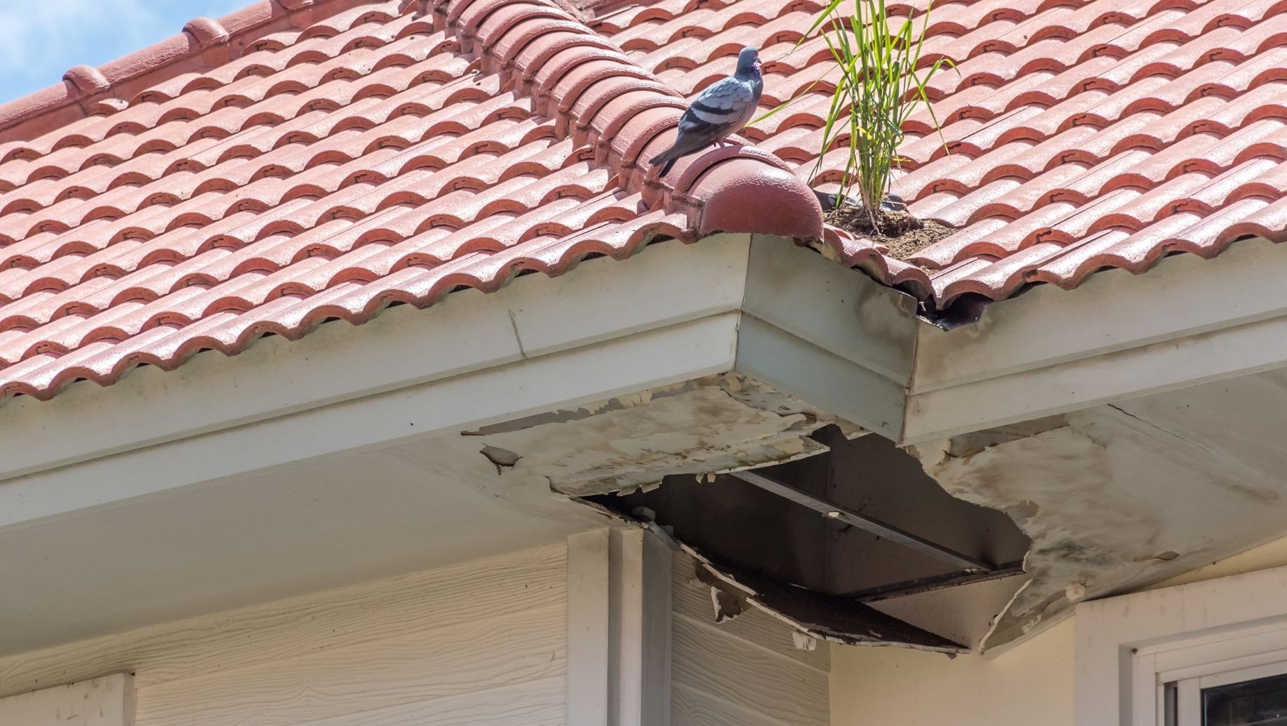 Common Roofing Problems