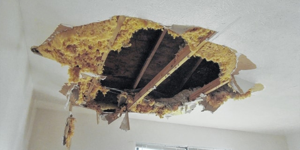 Featured image for “Can a leaking ceiling collapse?”