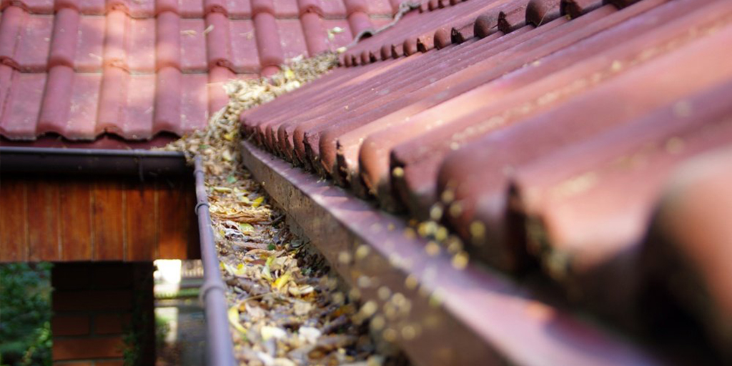 Featured image for “How to Prevent Clogged Gutters”