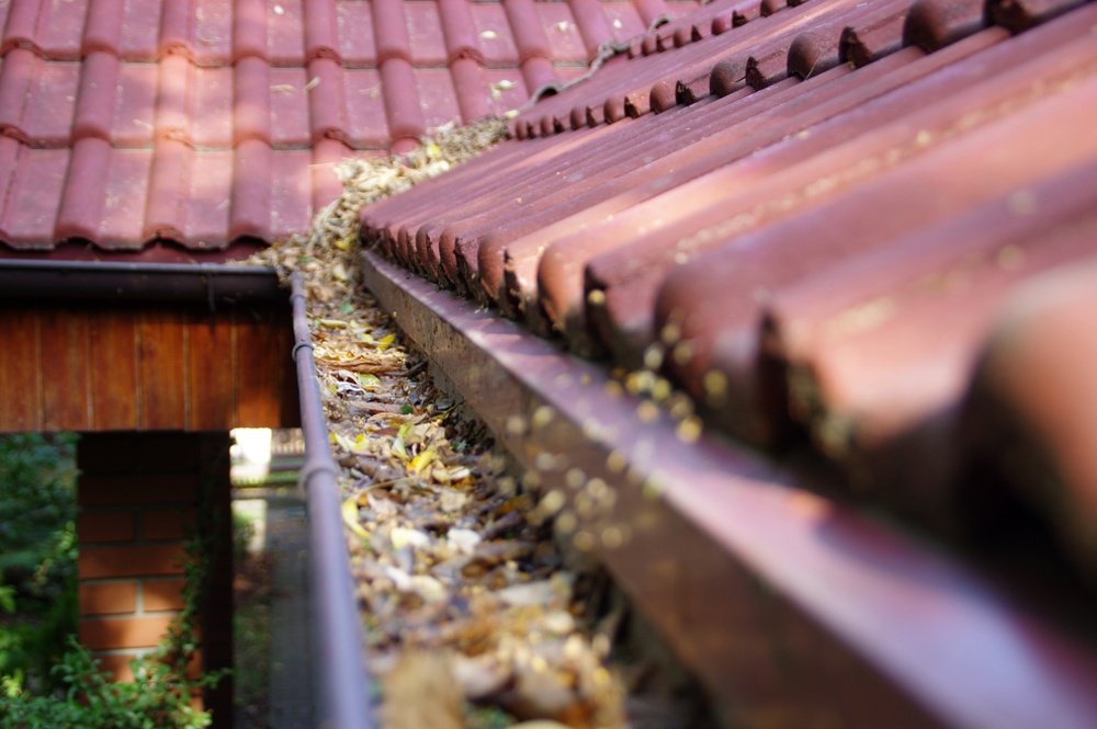 Prevent Clogged Gutters