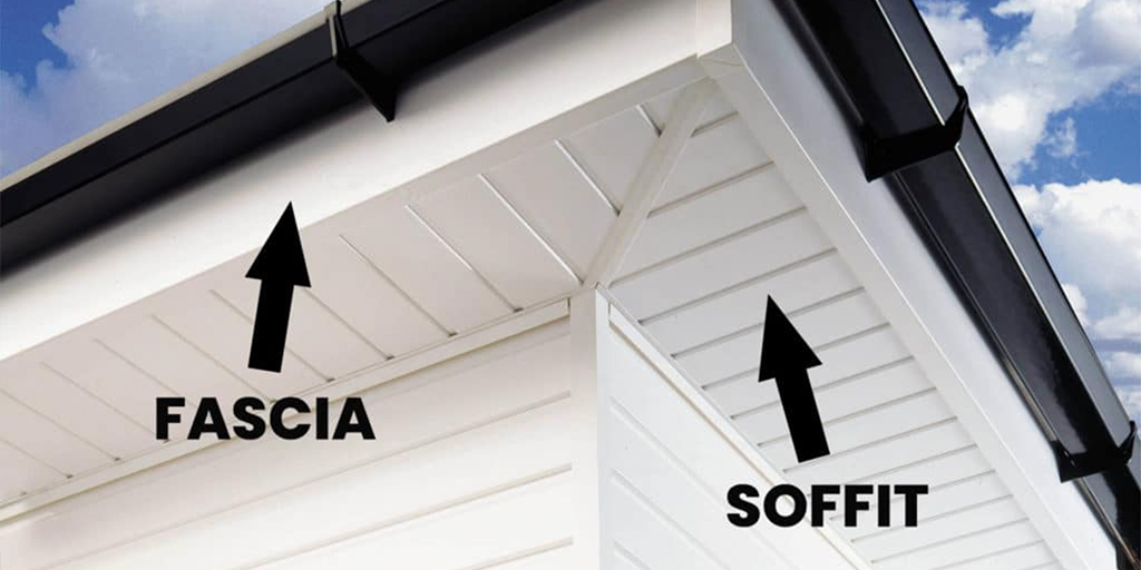 Featured image for “What is the purpose of fascia?”